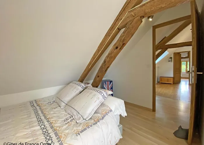 Charmante Longère Authentique Et Lumineuse Avec Grand Jardin, Proche Du Perche - Fr-1-497-216 *